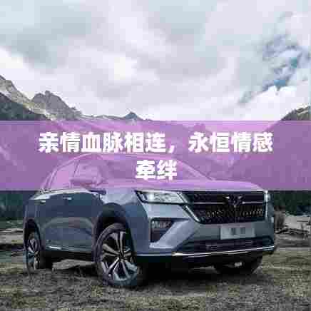 亲情血脉相连，永恒情感牵绊