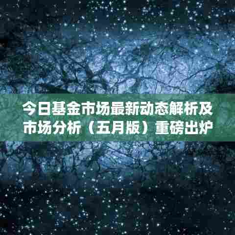 今日基金市场最新动态解析及市场分析(五月版)重磅出炉!