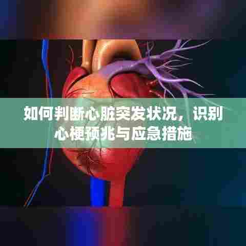 如何判断心脏突发状况,识别心梗预兆与应急措施