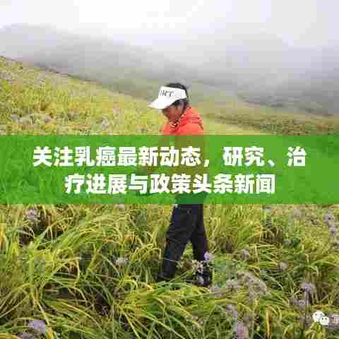 关注乳癌最新动态，研究、治疗进展与政策头条新闻