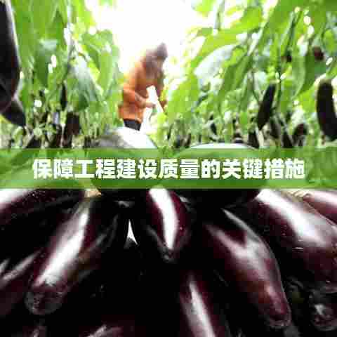 保障工程建设质量的关键措施