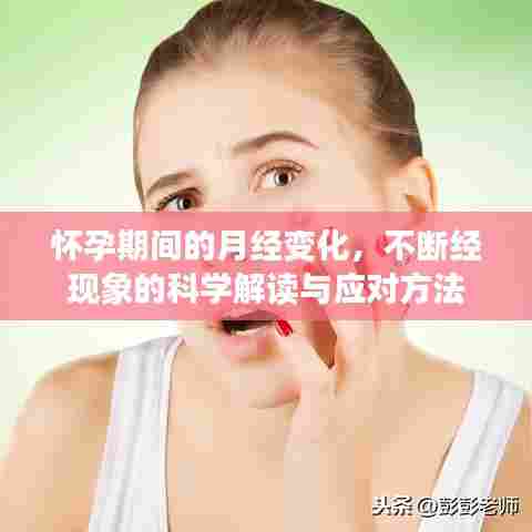 怀孕期间的月经变化，不断经现象的科学解读与应对方法