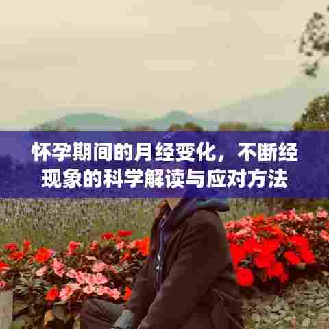怀孕期间的月经变化,不断经现象的科学解读与应对方法