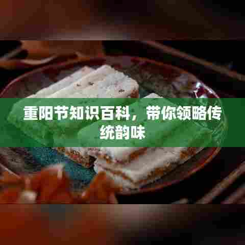 重阳节知识百科，带你领略传统韵味