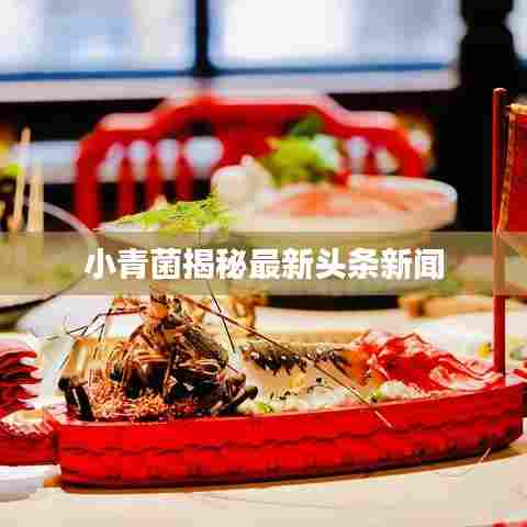 小青菌揭秘最新头条新闻