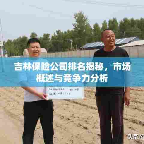 吉林保险公司排名揭秘，市场概述与竞争力分析