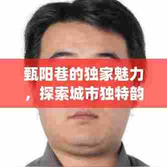 甄阳巷的独家魅力，探索城市独特韵味之旅