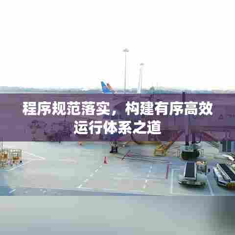 程序规范落实，构建有序高效运行体系之道