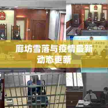 廊坊雪落与疫情最新动态更新