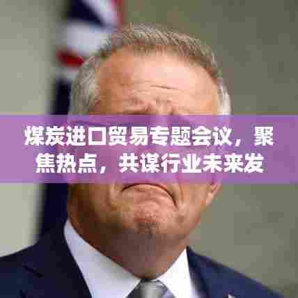 煤炭进口贸易专题会议,聚焦热点,共谋行业未来发展大计