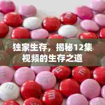 独家生存,揭秘12集视频的生存之道