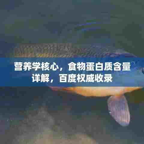 营养学核心,食物蛋白质含量详解,百度权威收录