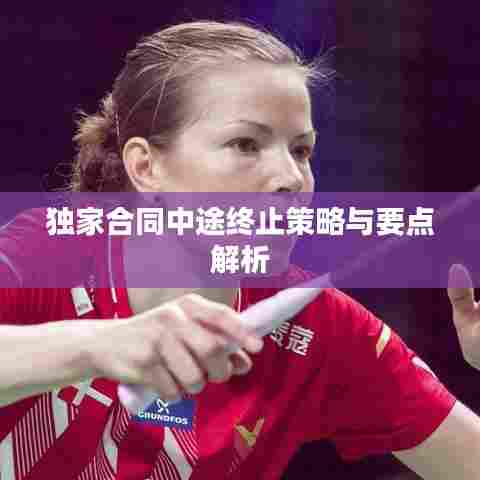 独家合同中途终止策略与要点解析