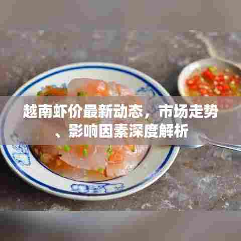 越南虾价最新动态，市场走势、影响因素深度解析