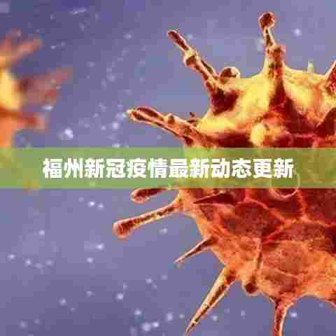 福州新冠疫情最新动态更新