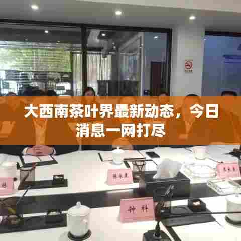 大西南茶叶界最新动态,今日消息一网打尽