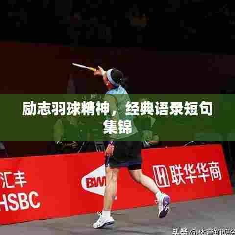 励志羽球精神,经典语录短句集锦