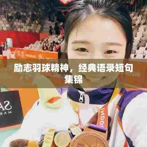 励志羽球精神,经典语录短句集锦