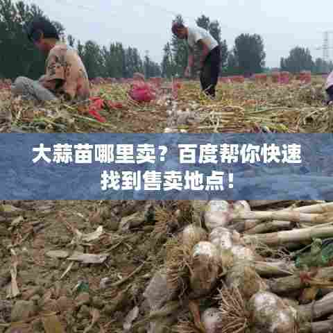 大蒜苗哪里卖？百度帮你快速找到售卖地点！