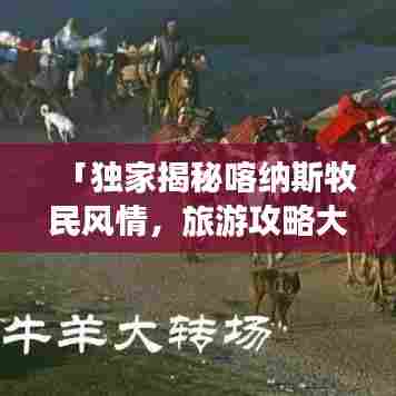 寥寥无几 第5页