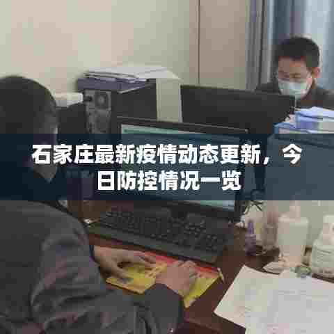 石家庄最新疫情动态更新,今日防控情况一览