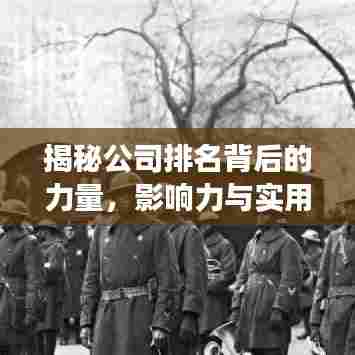 揭秘公司排名背后的力量,影响力与实用价值的双重解读