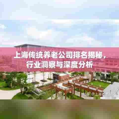上海传统养老公司排名揭秘，行业洞察与深度分析