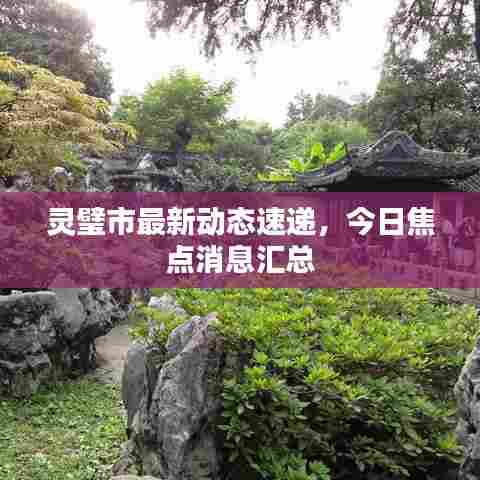 灵璧市最新动态速递，今日焦点消息汇总