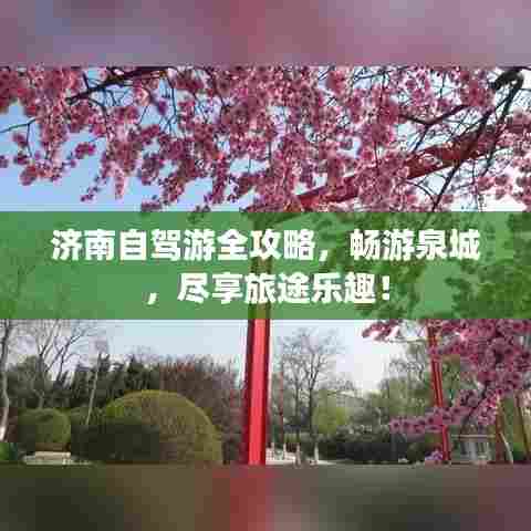 济南自驾游全攻略，畅游泉城，尽享旅途乐趣！