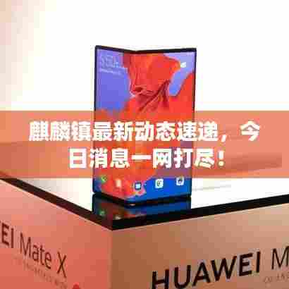 麒麟镇最新动态速递，今日消息一网打尽！