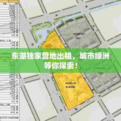 东湖独家营地出租，城市绿洲等你探索！