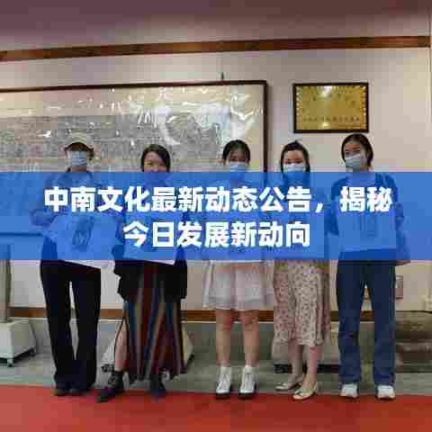 中南文化最新动态公告，揭秘今日发展新动向