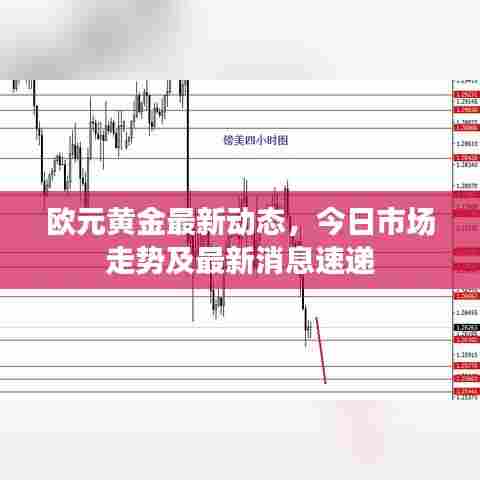 欧元黄金最新动态，今日市场走势及最新消息速递
