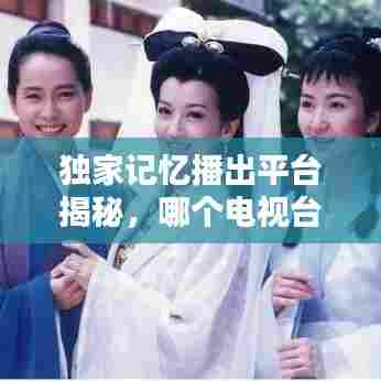 独家记忆播出平台揭秘,哪个电视台正在热播这部作品?