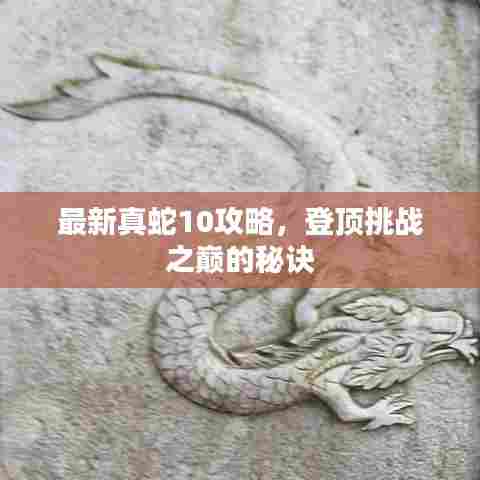 最新真蛇10攻略,登顶挑战之巅的秘诀