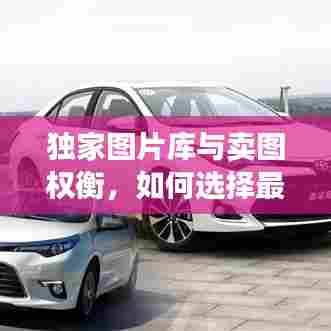独家图片库与卖图权衡,如何选择最优策略?