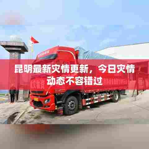 昆明最新灾情更新,今日灾情动态不容错过