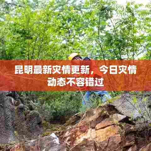 昆明最新灾情更新,今日灾情动态不容错过