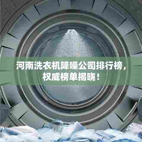 河南洗衣机降噪公司排行榜，权威榜单揭晓！