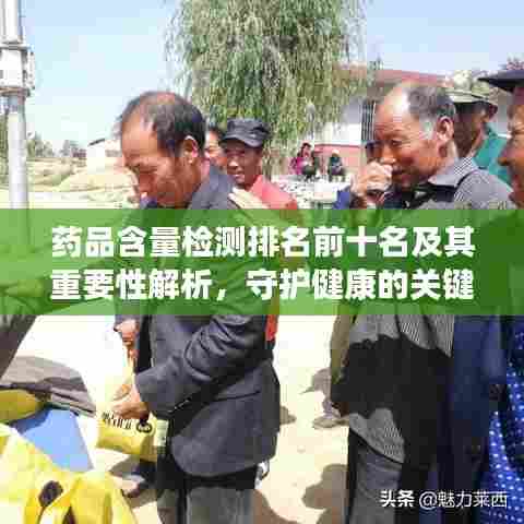 药品含量检测排名前十名及其重要性解析,守护健康的关键环节