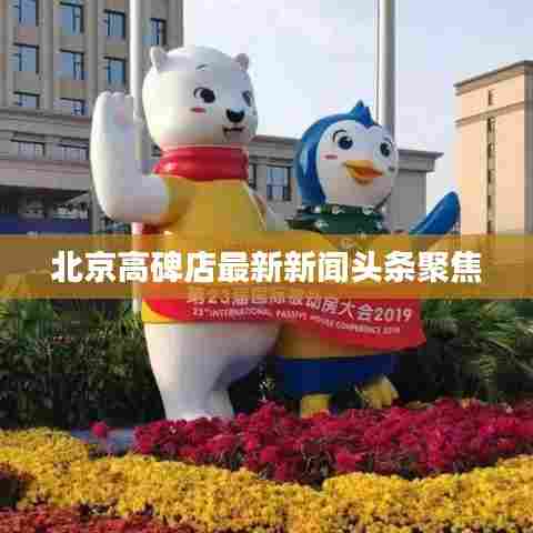 北京高碑店最新新闻头条聚焦