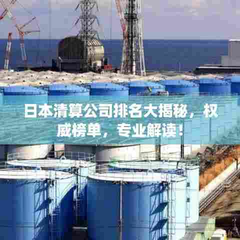 日本清算公司排名大揭秘,权威榜单,专业解读!
