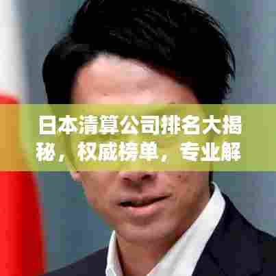 日本清算公司排名大揭秘,权威榜单,专业解读!