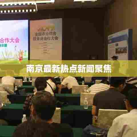 南京最新热点新闻聚焦