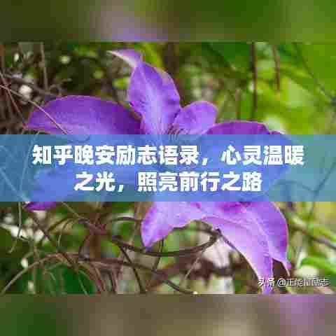 知乎晚安励志语录，心灵温暖之光，照亮前行之路
