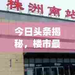 今日头条揭秘,楼市最新动态全面解读