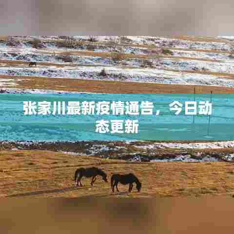 张家川最新疫情通告,今日动态更新