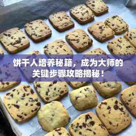 饼干人培养秘籍，成为大师的关键步骤攻略揭秘！