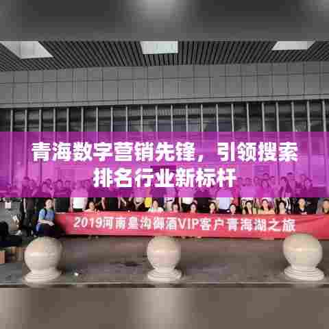 青海数字营销先锋，引领搜索排名行业新标杆