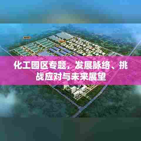 化工园区专题,发展脉络、挑战应对与未来展望